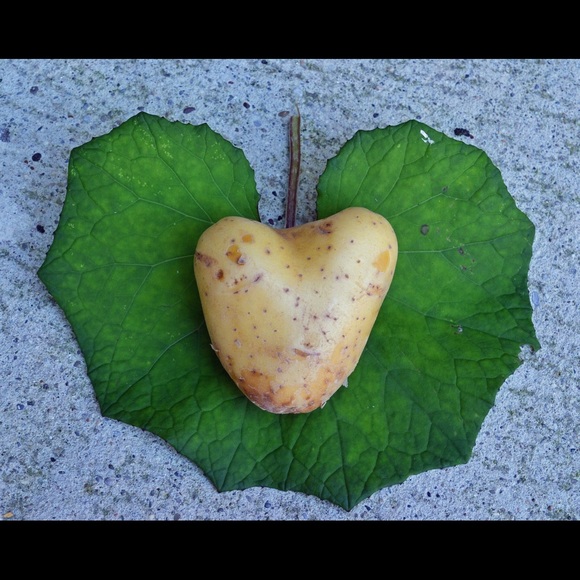 1 DAY SALE ONLY‼️SOME MAJOR MARKDOWNS  🌠 - Picture 4 of 5